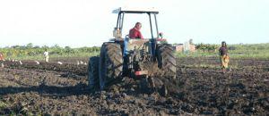 Adquiridos 500 tractores para dinamizar agricultura