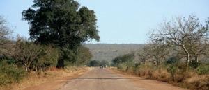 Asfaltagem da estrada Tica-Búzi vai custar  USD40 milhões