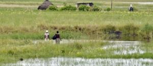 Calamidades naturais matam 61 pessoas desde Outubro em Moçambique