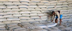 China disponibiliza apoio em arroz a Moçambique