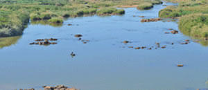 Governo recupera rios poluídos por garimpo no centro do país