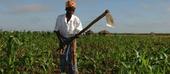 Itália e Argentina dispostos a apoiar agricultura em Moçambique