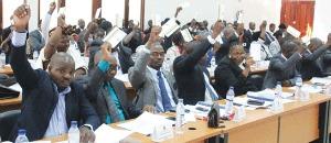 Membros da Assembleia Provincial clamam por uma paz efectiva em Moçambique