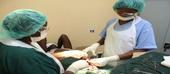 MISAU aposta na circuncisão para reduzir HIV/SIDA