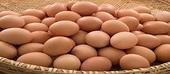 Moçambique volta a importar ovos da África do Sul