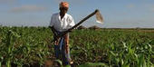 PR satisfeito com produção agrícola em Nampula 